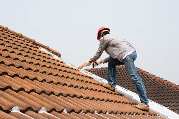 Best Roof Insulation Installation  in Woodmoor, CO